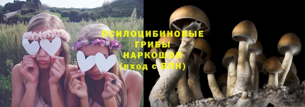 крисы Тихвин