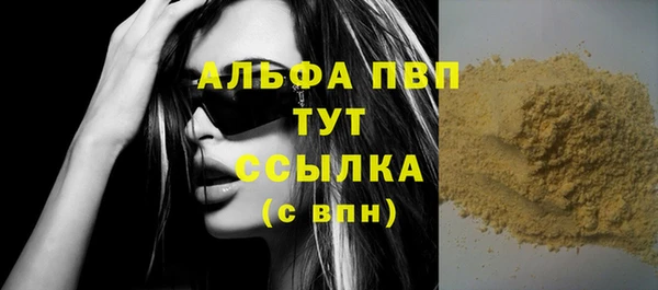 спиды Белокуриха