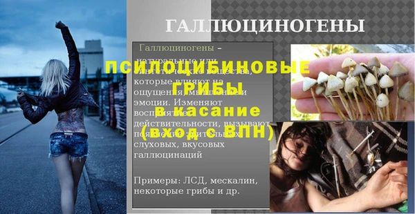 спиды Белокуриха