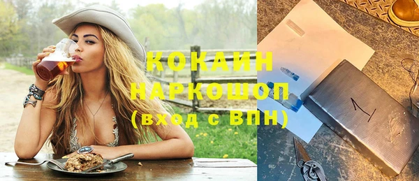 mdpv Богородицк