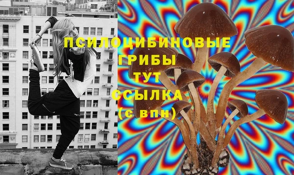 экстази Богданович
