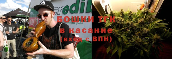 СК Богородск