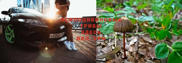 бошки Туринск