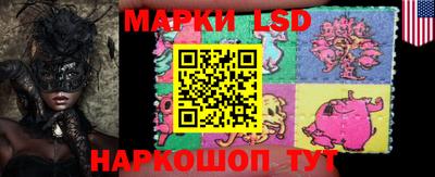 apvp Обь