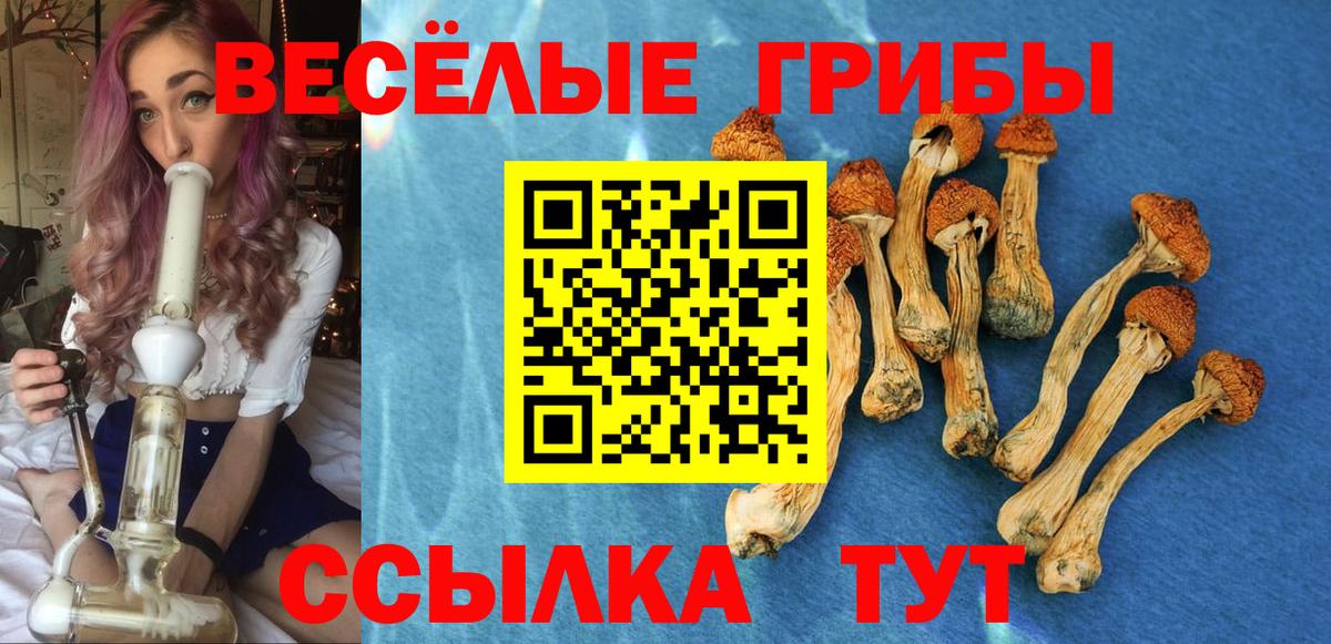 Галлюциногенные грибы MAGIC MUSHROOMS Армавир